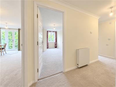 Picture 8